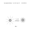 METHOD FOR SILICA ENCAPSULATION OF MAGNETIC PARTICLES diagram and image