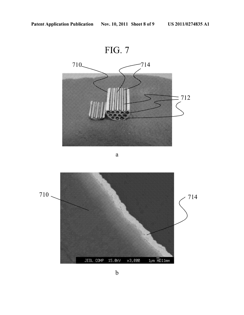 METHOD FOR MEMBRANE DEPOSITION - diagram, schematic, and image 09