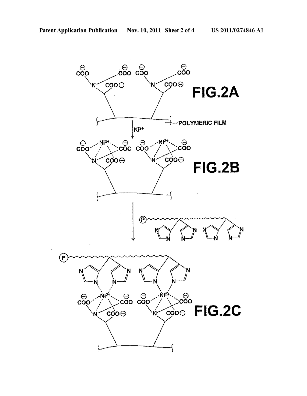 CARRIER, PROCESS FOR PRODUCING SAME, BIOREACTOR, AND CHIP FOR SURFACE     PLASMON RESONANCE ANALYSIS - diagram, schematic, and image 03