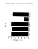 ALLOSTERIC CONTROL OF PROTEINS BY MANIPULATING MECHANICAL TENSION diagram and image