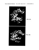 ALLOSTERIC CONTROL OF PROTEINS BY MANIPULATING MECHANICAL TENSION diagram and image