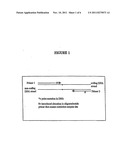 Method for detecting tumor-associated DNA in blood or blood fractions diagram and image