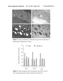 SOX MODULATORS IN THE TREATMENT OF ALOPECIA diagram and image