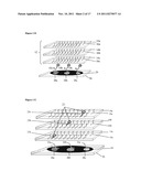 Oligonucleotide-Coated Affinity Membranes and Uses Thereof diagram and image