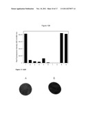 Oligonucleotide-Coated Affinity Membranes and Uses Thereof diagram and image