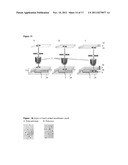 Oligonucleotide-Coated Affinity Membranes and Uses Thereof diagram and image