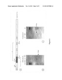 PROTEOGLYCAN SPLICE VARIANTS AS THERAPEUTICS AND DIAGNOSTICS FOR AMYLOID     DISEASES diagram and image