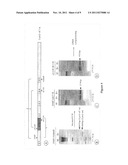 PROTEOGLYCAN SPLICE VARIANTS AS THERAPEUTICS AND DIAGNOSTICS FOR AMYLOID     DISEASES diagram and image