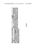 PROTEOGLYCAN SPLICE VARIANTS AS THERAPEUTICS AND DIAGNOSTICS FOR AMYLOID     DISEASES diagram and image