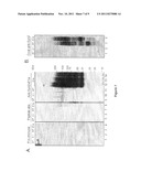 PROTEOGLYCAN SPLICE VARIANTS AS THERAPEUTICS AND DIAGNOSTICS FOR AMYLOID     DISEASES diagram and image