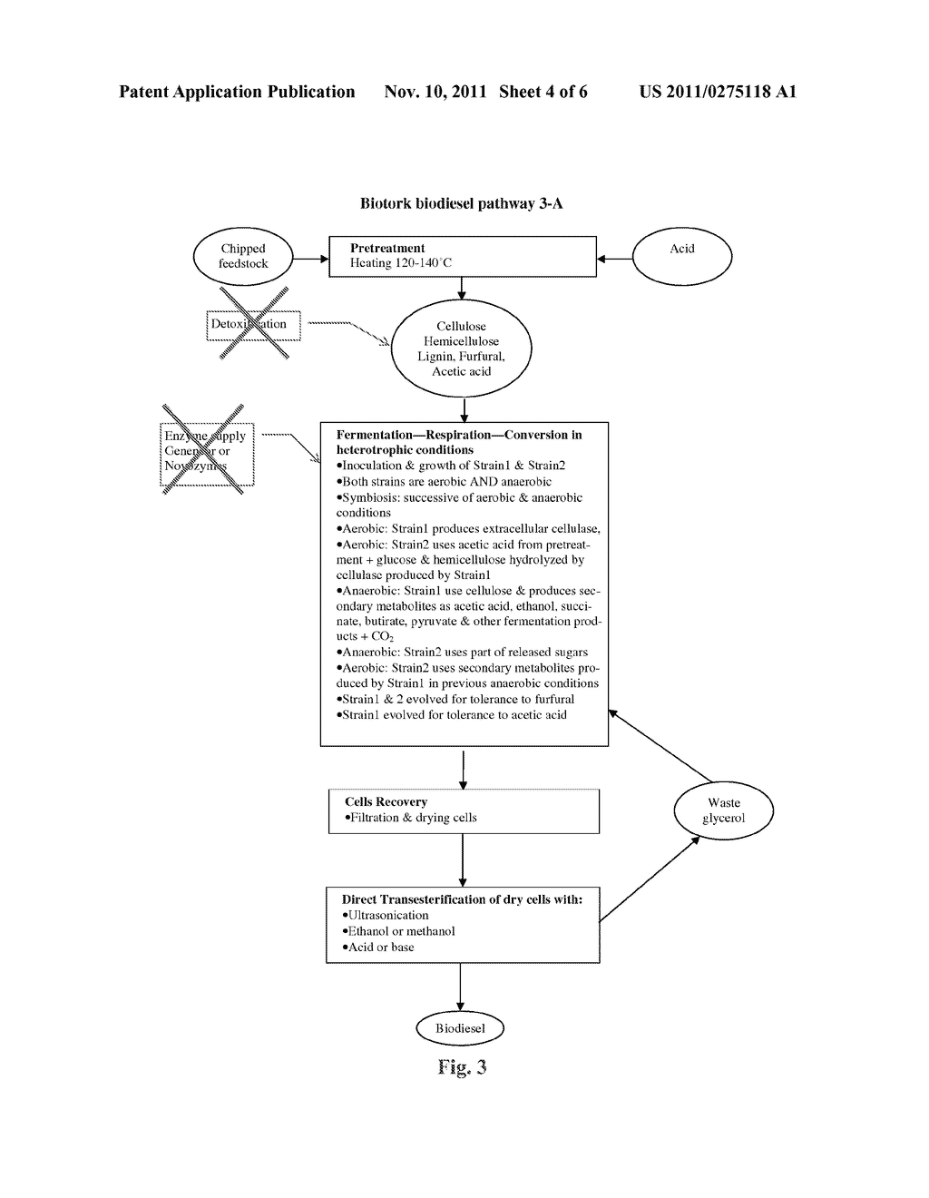 METHOD OF PRODUCING FATTY ACIDS FOR BIOFUEL, BIODIESEL, AND OTHER VALUABLE     CHEMICALS - diagram, schematic, and image 05