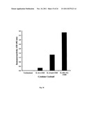 Compositions and methods for generating antibodies diagram and image