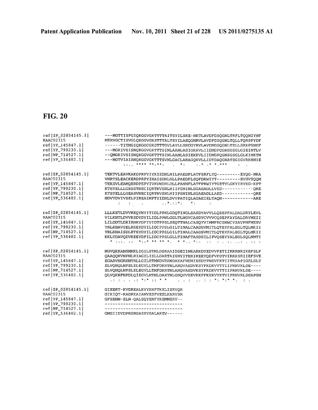 Genetic elements, proteins, and associated methods including application     of additional genetic information to gram (+) thermoacidophiles - diagram, schematic, and image 22