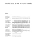 Genetic elements, proteins, and associated methods including application     of additional genetic information to gram (+) thermoacidophiles diagram and image