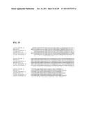 Genetic elements, proteins, and associated methods including application     of additional genetic information to gram (+) thermoacidophiles diagram and image