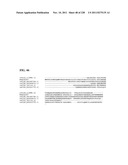 Genetic elements, proteins, and associated methods including application     of additional genetic information to gram (+) thermoacidophiles diagram and image