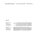 Genetic elements, proteins, and associated methods including application     of additional genetic information to gram (+) thermoacidophiles diagram and image