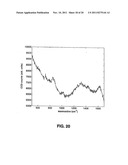 DEVICES AND METHODS FOR DUAL EXCITATION RAMAN SPECTROSCOPY diagram and image