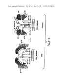 FUSION PROTEINS COMPRISING DP-178 AND OTHER VIRAL FUSION INHIBITOR     PEPTIDES USEFUL FOR TREATING AIDS diagram and image