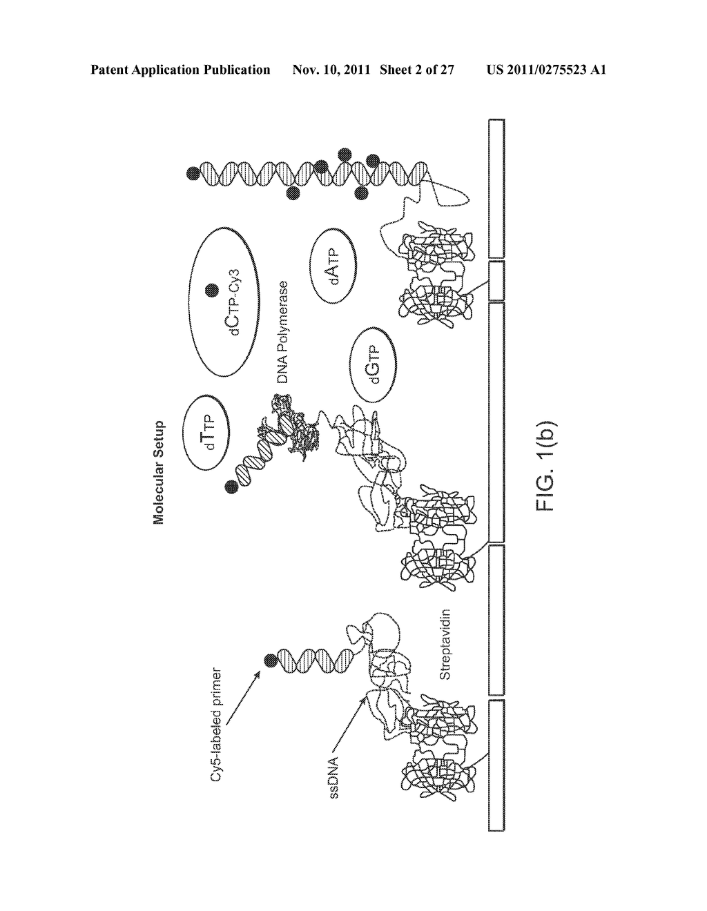 METHODS AND KITS FOR ANALYZING POLYNUCLEOTIDE SEQUENCES - diagram, schematic, and image 03