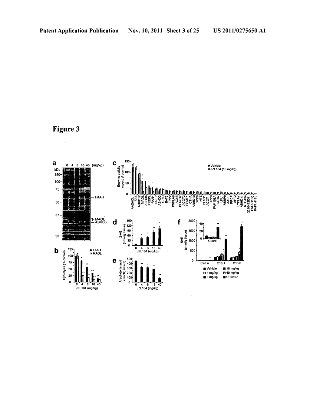 METHODS AND COMPOSITIONS RELATED TO TARGETING MONOACYLGLYCEROL LIPASE - diagram, schematic, and image 04