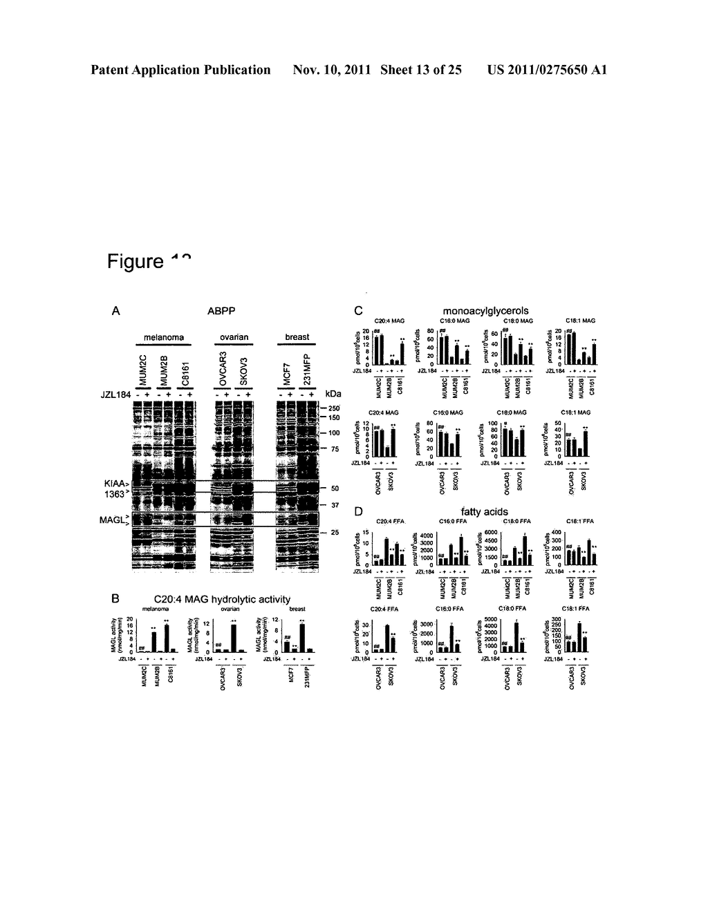 METHODS AND COMPOSITIONS RELATED TO TARGETING MONOACYLGLYCEROL LIPASE - diagram, schematic, and image 14