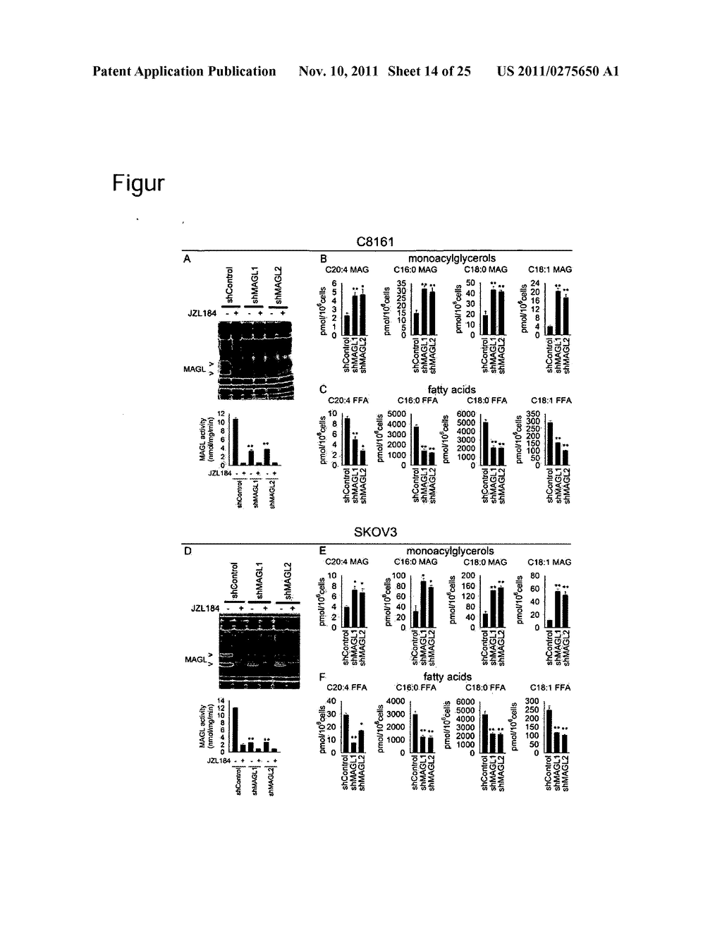 METHODS AND COMPOSITIONS RELATED TO TARGETING MONOACYLGLYCEROL LIPASE - diagram, schematic, and image 15