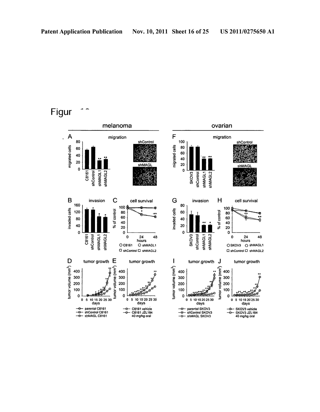 METHODS AND COMPOSITIONS RELATED TO TARGETING MONOACYLGLYCEROL LIPASE - diagram, schematic, and image 17