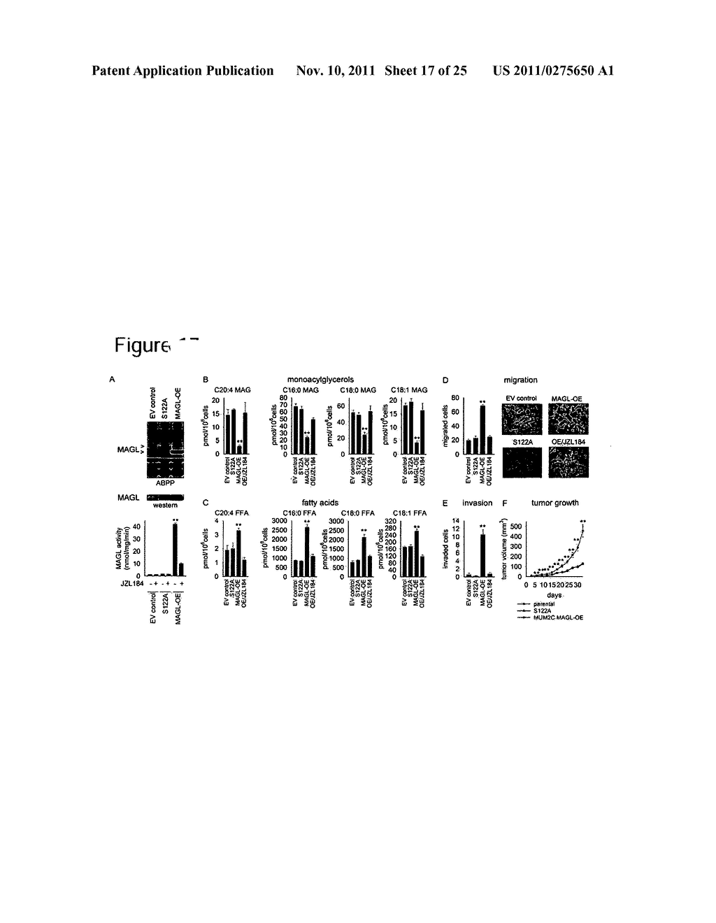 METHODS AND COMPOSITIONS RELATED TO TARGETING MONOACYLGLYCEROL LIPASE - diagram, schematic, and image 18