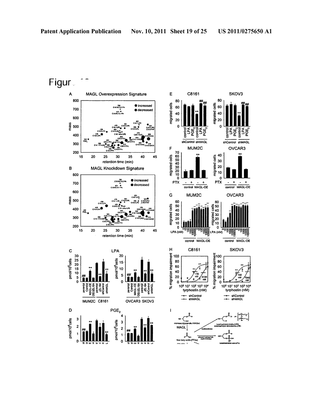 METHODS AND COMPOSITIONS RELATED TO TARGETING MONOACYLGLYCEROL LIPASE - diagram, schematic, and image 20