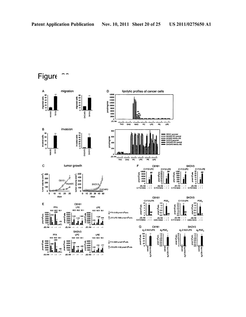 METHODS AND COMPOSITIONS RELATED TO TARGETING MONOACYLGLYCEROL LIPASE - diagram, schematic, and image 21