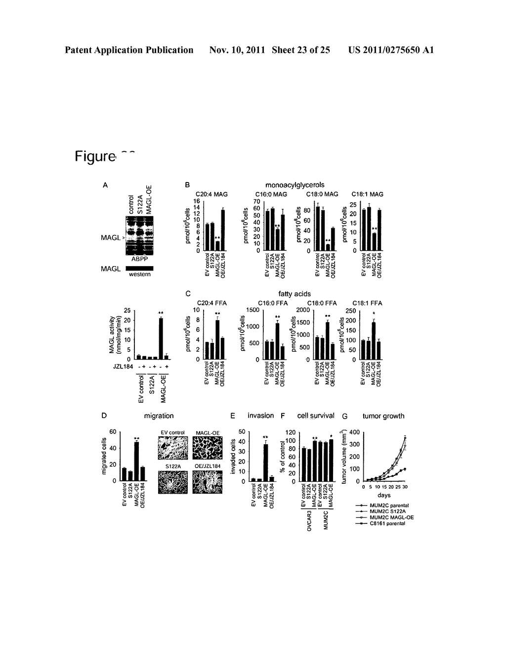 METHODS AND COMPOSITIONS RELATED TO TARGETING MONOACYLGLYCEROL LIPASE - diagram, schematic, and image 24