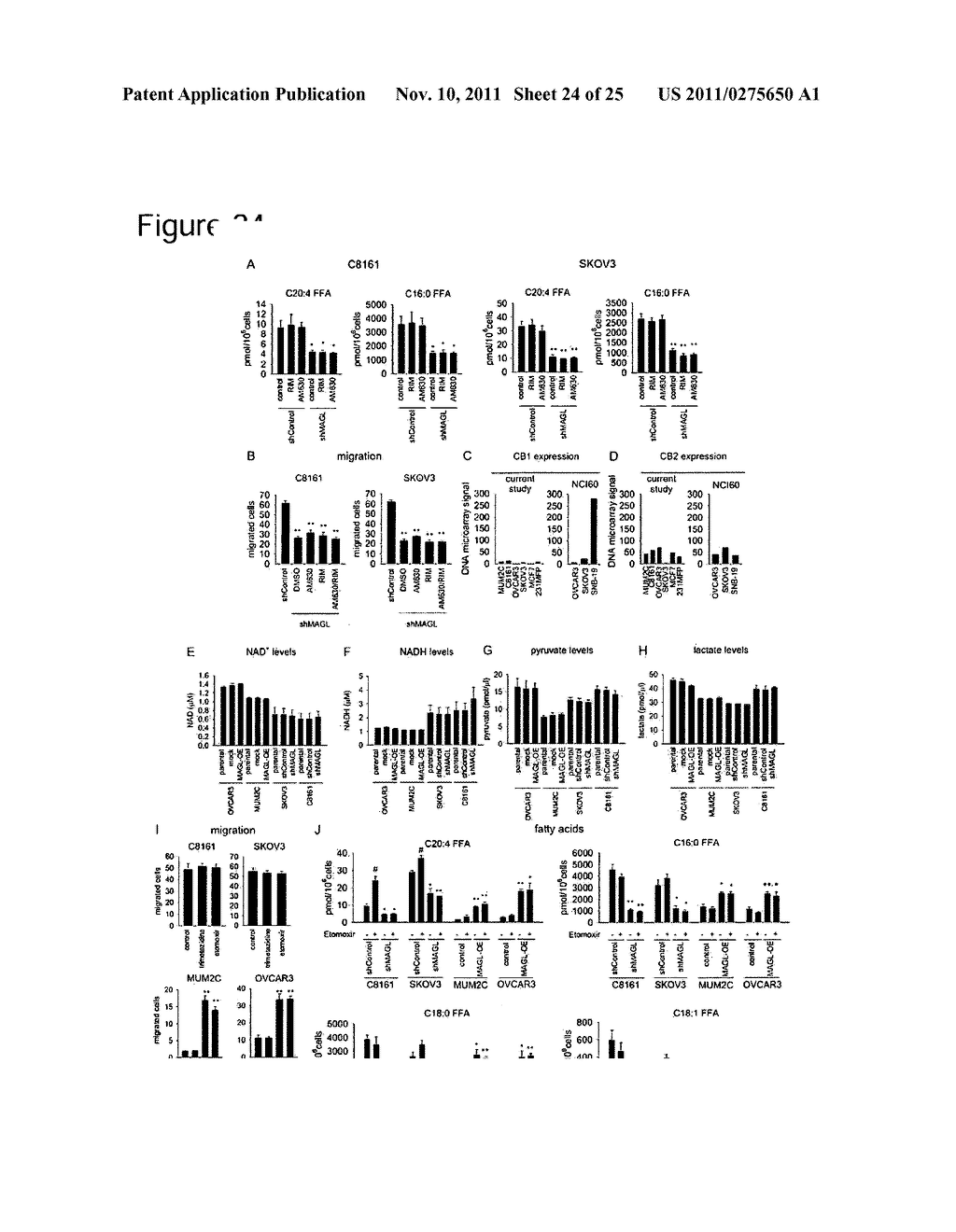 METHODS AND COMPOSITIONS RELATED TO TARGETING MONOACYLGLYCEROL LIPASE - diagram, schematic, and image 25