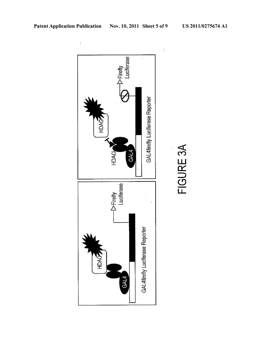 Small Molecules Modulator of Epigenetic Regulation and Their Therapeutic     Applications - diagram, schematic, and image 06