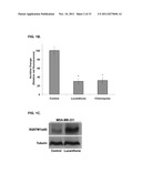 Thioxanthone-Based Autophagy Inhibitor Therapies to Treat Cancer diagram and image