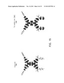 Nitro compound, amine compound, polyimide and polyimide copolymer derived     therefrom diagram and image