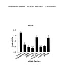 HIGHLY BRANCHED HK PEPTIDES AS EFFECTIVE CARRIERS OF siRNA diagram and image