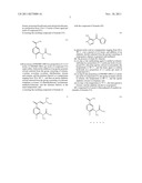 PROCESS FOR THE PREPARATION OF     N-[5-(3-DIMETHYLAMINO-ACRYLOYL)-2-FLUORO-PHENYL]-N-METHYL-ACETAMIDE diagram and image