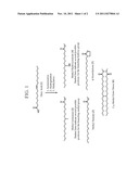 Process for Preparing Saturated Branched Chain Fatty Acids diagram and image