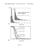 Susceptibility Weighted Magnetic Resonance Imaging Of Venous Vasculature diagram and image