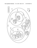 RESOLVING INFORMATION IN A MULTITENANT DATABASE ENVIRONMENT diagram and image