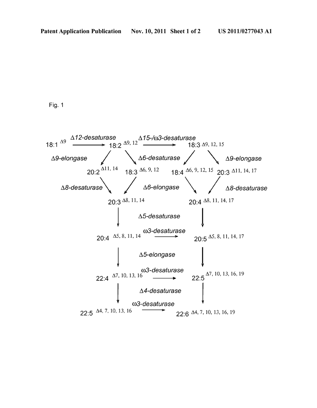 Desaturases and Process for the Production of Polyunsaturated Fatty Acids     in Transgenic Organisms - diagram, schematic, and image 02