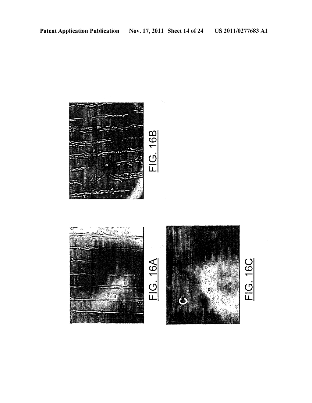 Microstamping Activated Polymer Surfaces - diagram, schematic, and image 15