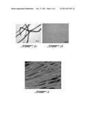 CELLULOSE NANOFILAMENTS AND METHOD TO PRODUCE SAME diagram and image