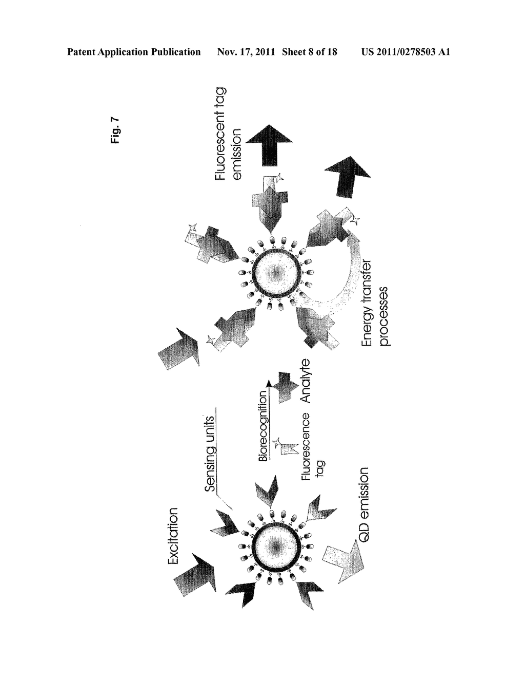 AMPHIPHILIC POLYMERS AND NANOCRYSTALS COATED THEREWITH - diagram, schematic, and image 10