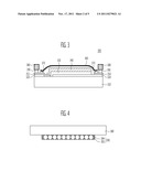 ORGANIC LIGHT EMITTING DIODE PANEL FOR LIGHTING diagram and image