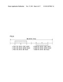 DRIVE CONTROL CIRCUIT FOR LINEAR VIBRATION MOTOR diagram and image