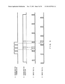 READER/WRITER, RADIO TAG, TRANSMISSION/RECEPTION SYSTEM AND     TRANSMISSION/RECEPTION METHOD diagram and image