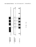 READER/WRITER, RADIO TAG, TRANSMISSION/RECEPTION SYSTEM AND     TRANSMISSION/RECEPTION METHOD diagram and image