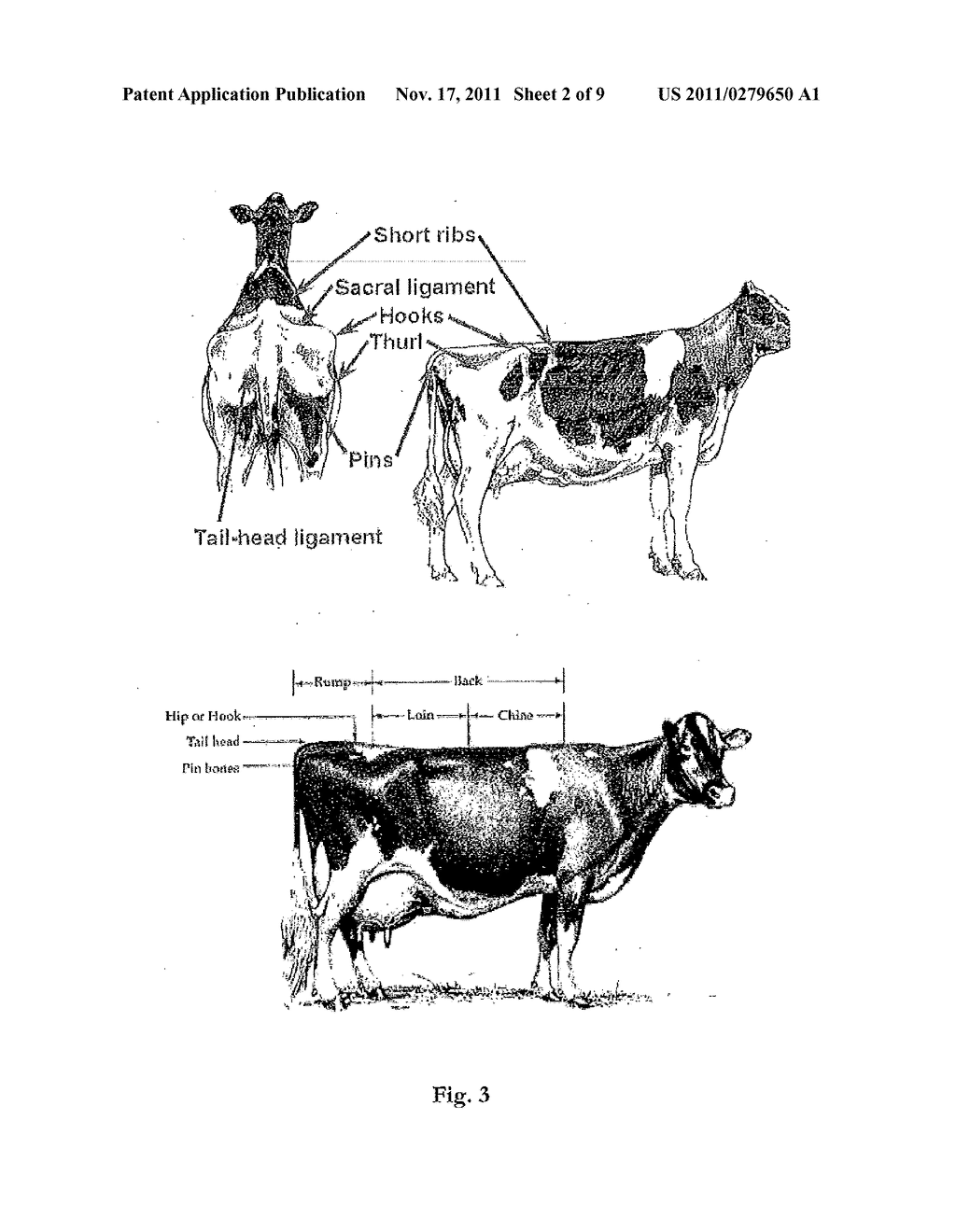 ARRANGEMENT AND METHOD FOR DETERMINING A BODY CONDITION SCORE OF AN ANIMAL - diagram, schematic, and image 03